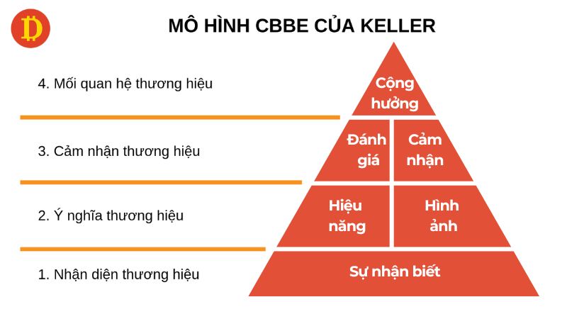 4 cấp bậc của mô hình CBBE